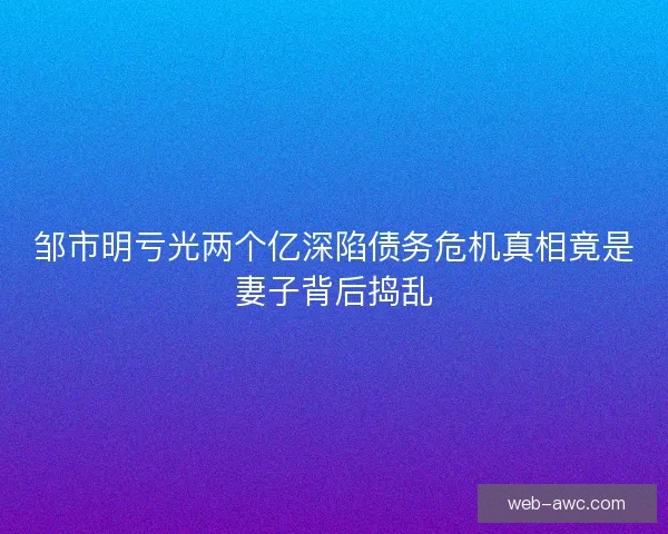 邹市明亏光两个亿深陷债务危机真相竟是妻子背后捣乱